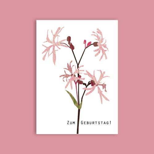 Postkarte Holzschliffpappe - Blumen - Kuckuckslichtnelke