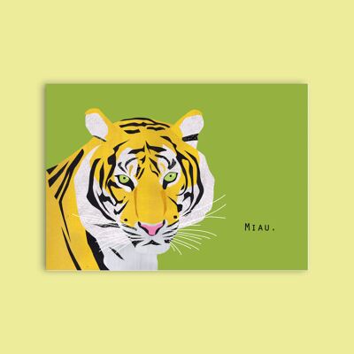 Postcard wood pulp cardboard - animals - tigers
