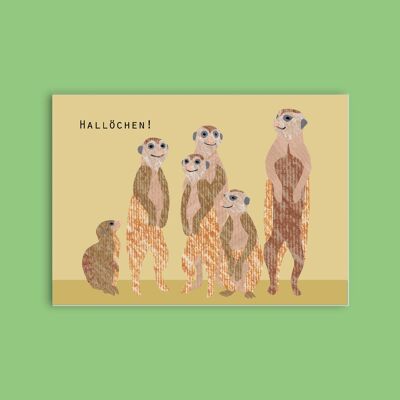 Postal cartón pasta de madera - animales - suricatas