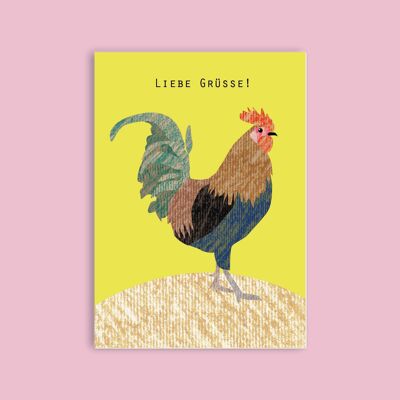 Postcard wood pulp cardboard - animals - rooster