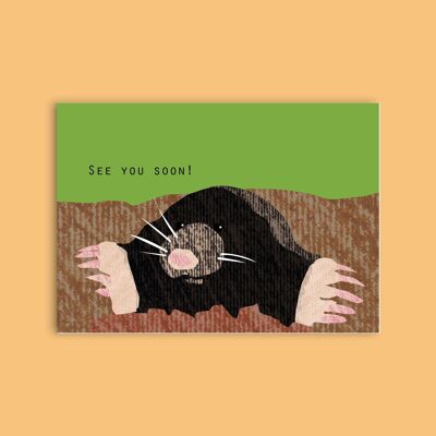 Postkarte Holzschliffpappe - Tiere - Maulwurf
