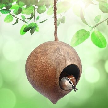 Nid de noix de coco Vie Naturals 5