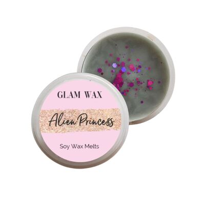 Alien Princess Perfume Wax Melt Segment Pot