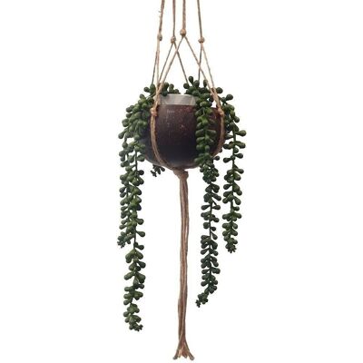 Vie Naturals Coconut Shell Pot Holder mit einem stabilen Hängeseil im Jute-Makramee-Stil, braun