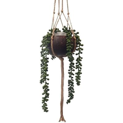 Vie Naturals Coconut Shell Pot Holder with a Sturdy Jute Macrame Style Hanging Rope, Brown