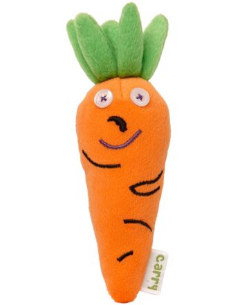 Carry Carrot Soft Toy & The Veggie Bunch Go Camping Storybook 2