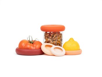 FOOD HUGGERS ® - set de 5 Terre Cuite 2