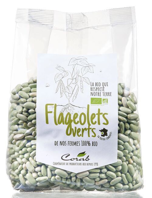 FLAGEOLETS VERTS BIO 500g - ORIGINE FRANCE