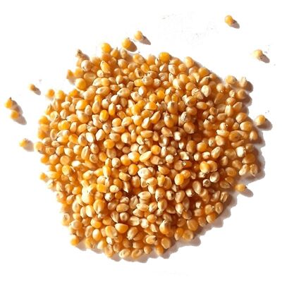 ORGANIC POPCORN - BULK 5KG - ORIGIN FRANCE