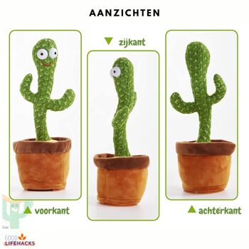 Cactus dansant 10