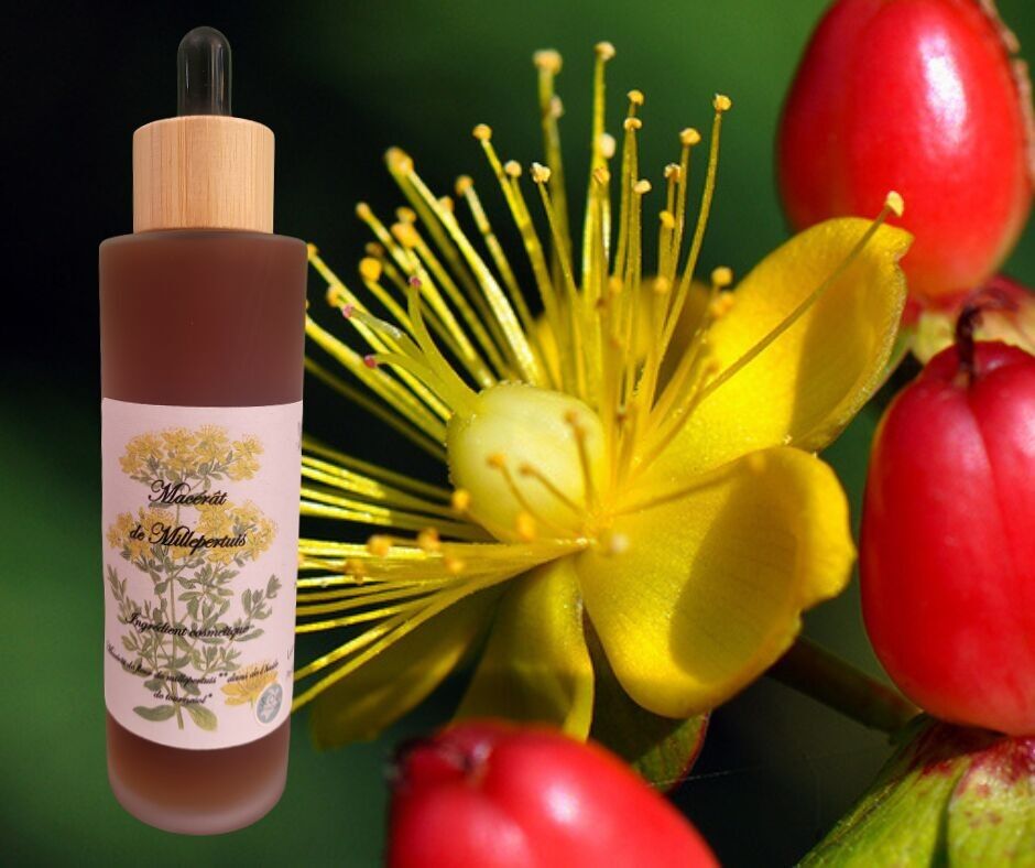 Huile de soins Millepertuis