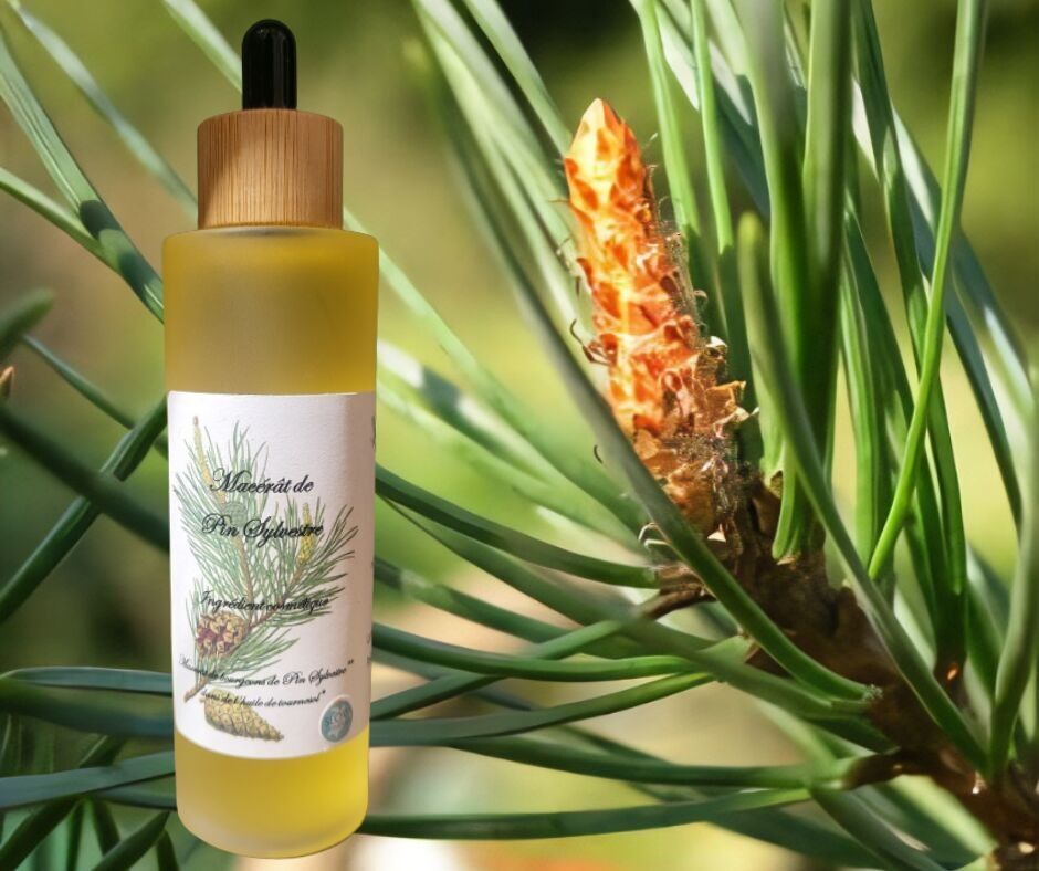 Huile de soins Pin Sylvestre
