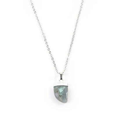 Labradorite Claw Necklace in White Gold