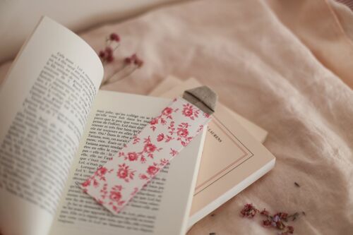 Bookmark "The great love of Marie-Antoinette" by Evelyne Lever