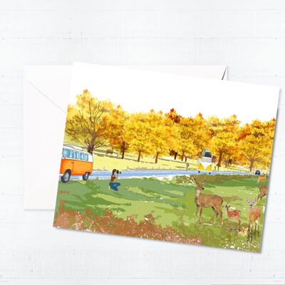 Richmond Park Greeting Card