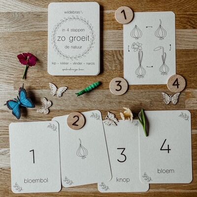 Lifecycle Chicken - Frog - Butterfly - Daffodil - Montessori Playing Cards