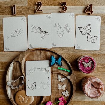 Lifecycle Chicken - Grenouille - Papillon - Jonquille - Cartes à jouer Montessori 6