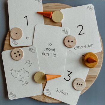 Lifecycle Chicken - Grenouille - Papillon - Jonquille - Cartes à jouer Montessori 10
