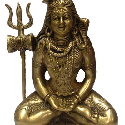 Shiva als Asket