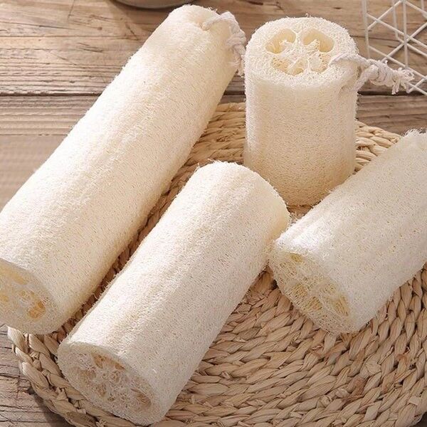 Exfoliating Loofah Sponge