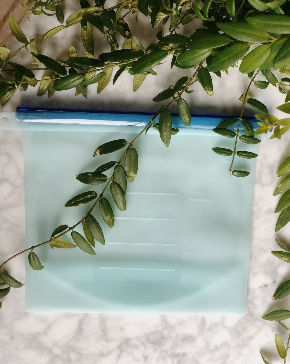 REUSABLE SILICONE FOOD BAG -  Blue