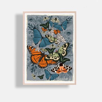 Butterflies and plants A4 print