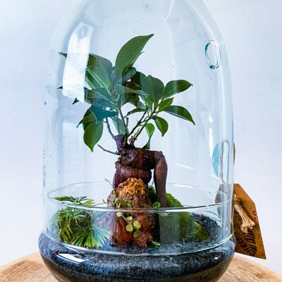 Tree In A Jar