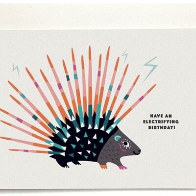 VIVA Porcupine Greeting Card