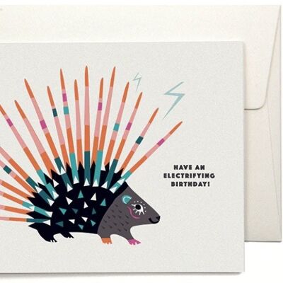 VIVA Porcupine Greeting Card