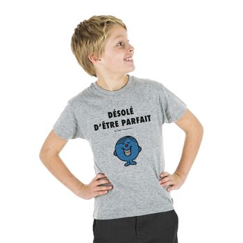 TSHIRT GRIS CHINÉ DÉSOLÉ D'ÊTRE PARFAIT 2 -Kid