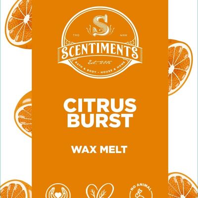 Citrus Burst Wax Snapbars