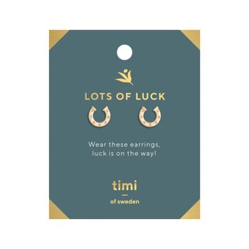 Timi de Suède | Beaucoup de boucles d'oreilles en fer à cheval de chance | Design scandinave exclusif qui est le cadeau parfait pour toutes les femmes 2