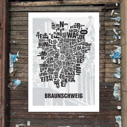 Buchstabenort Braunschweig Dom - 50x70cm-digitaldruck