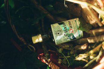 L’Elixir de la Dame – vermouth artisanal sec d’hiver : la forêt 2