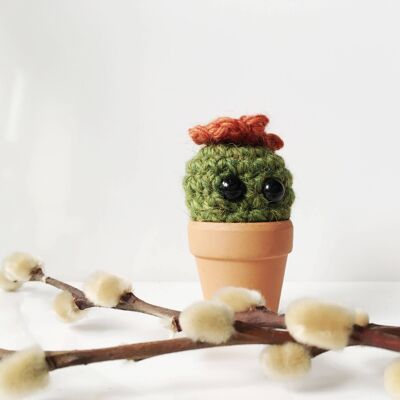 Tiny the Miniature crochet cactus