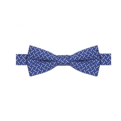 Alcé - noeud papillon coton à motif bâtonnet – bleu et blanc
