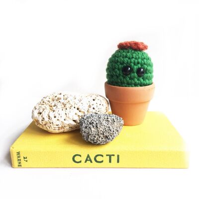 Baby green crochet cactus with orange crochet flower, birthday gift, new home, thank you
