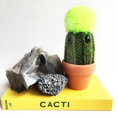 funky pompom knitted cactus, home decor, desk buddy, thank you gift - 1