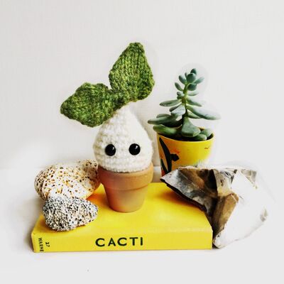 Little sprout the woodland sprite, crochet cactus, good for new home, thank you gift, desk plant, student, birthday