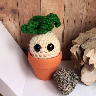 Curly sprout, crochet plant, desk, buddy, wood sprite