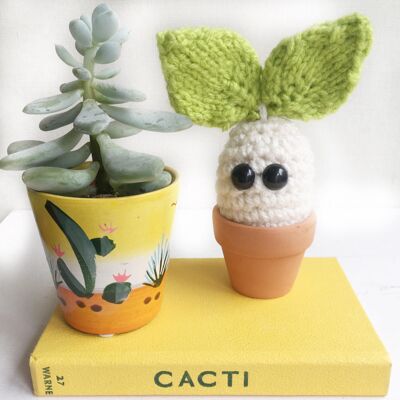 Little sprout the vegan woodland sprite, crochet cactus, good for new home, thank you gift, desk plant, student