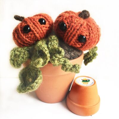 Knitted Pumpkin patch autumn decor plushie in a terracotta pot with crochet leaves.