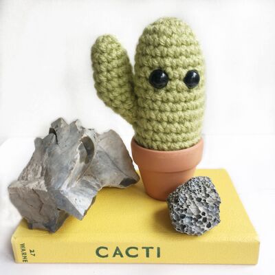Vegan, Saguaro crochet cactus, desert cactus,desk plant, artificial plant, desk plant, arazona, new home, thank you, gift for her