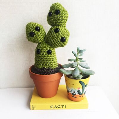 Vegan crochet paddle cactus in a terracotta pot, home decor or birthday gift for plant lovers