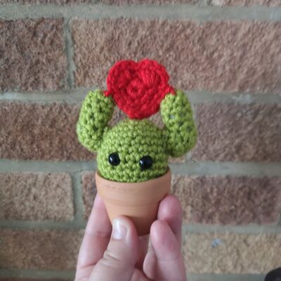 Cute green cactus with a red crochet heart