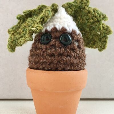 Christmas pudding plushie plant decoration with holly leaves in a terracotta pot