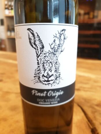 Wild Nature Pinot Grigio DOC Venise 3