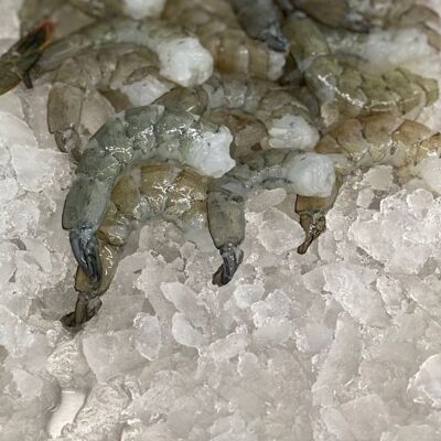 Neue Meere-Garnele "küchenfertig" - 1kg
