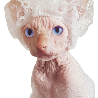 Kotomoda Duschhauben für Sphynx-Katzen und Kleintiere 20St