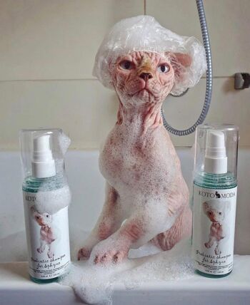 Kotomoda Shampooing probiotique pour chats Sphynx 120 ml 4